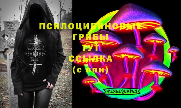 spice Покачи