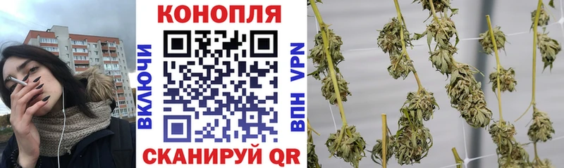 Шишки марихуана планчик  Теберда 